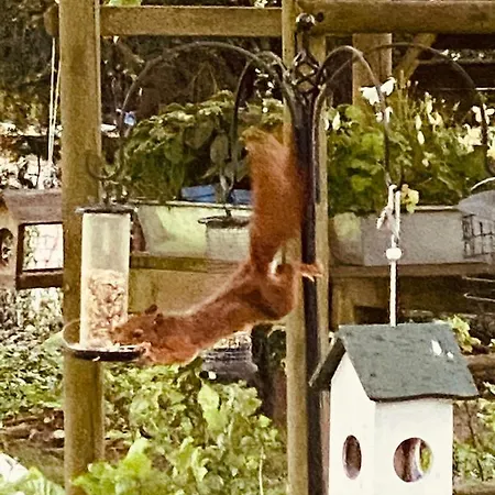 Cosy House In A Charming Village * Beauvechain