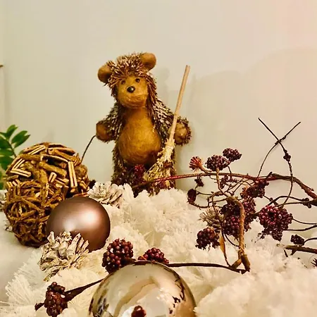 Cosy House In A Charming Village * Beauvechain